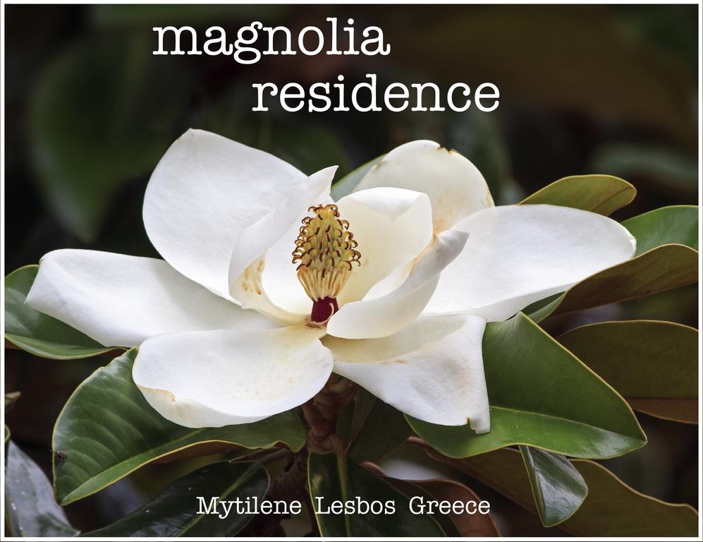 Magnolia Residence Mytilíni Exterior foto